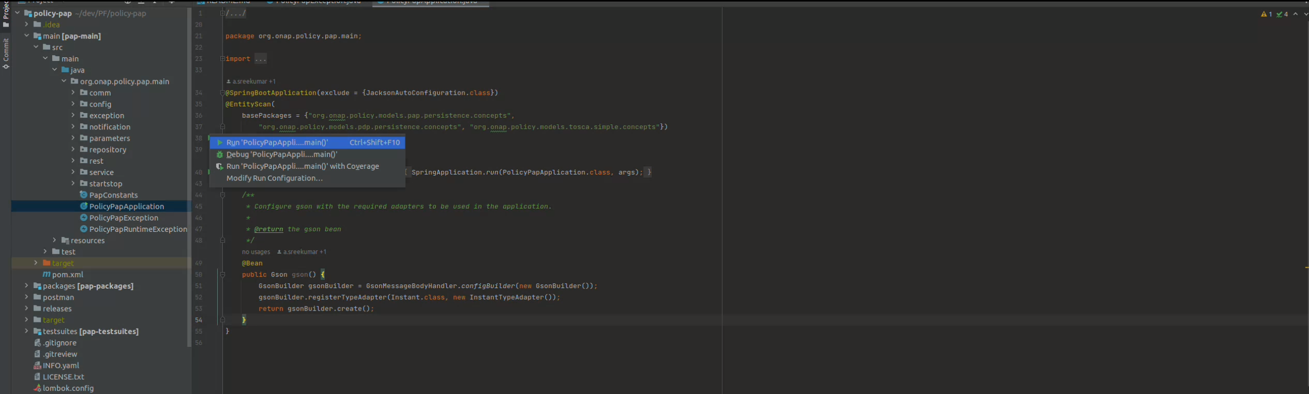 ../../../_images/policy-pap-intellij.png